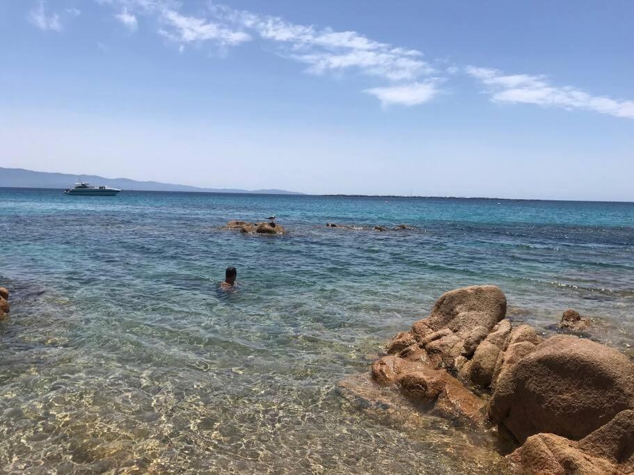 Bel App T2 En Bord De Mer Vue Sanquinaires Piscine Ajaccio  Esterno foto