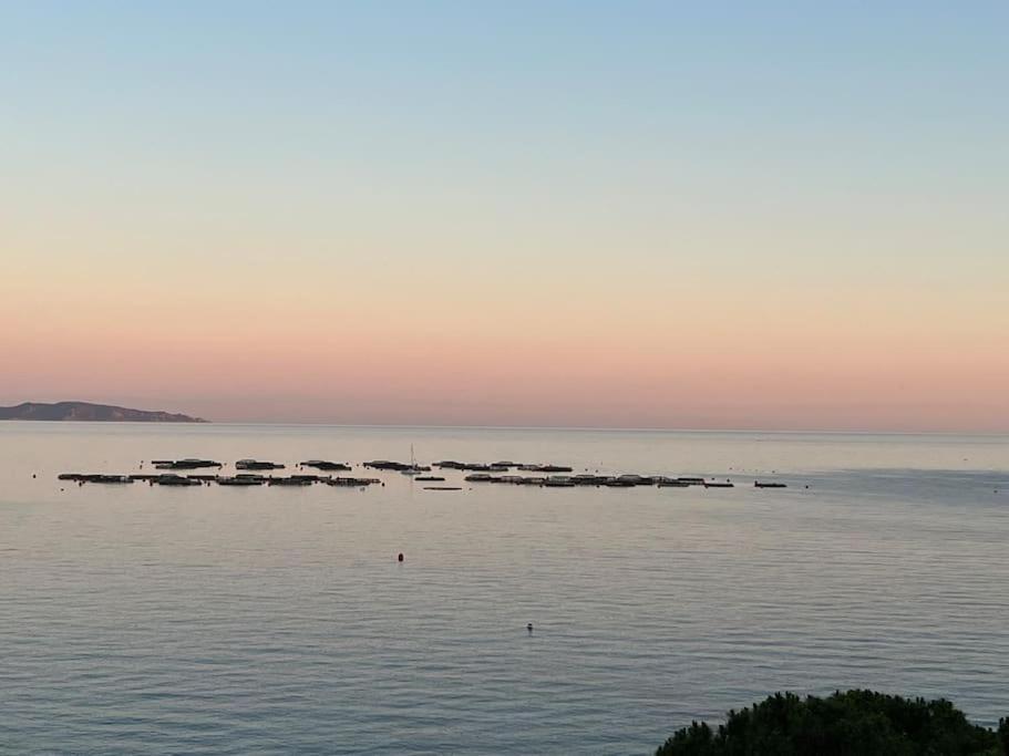 Bel App T2 En Bord De Mer Vue Sanquinaires Piscine Ajaccio  Esterno foto